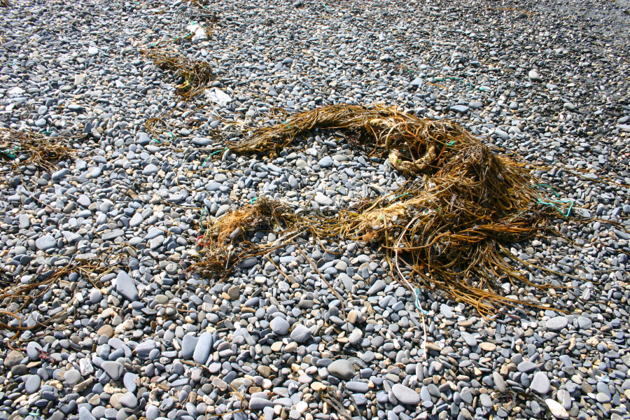 The Nature of our Original Nature